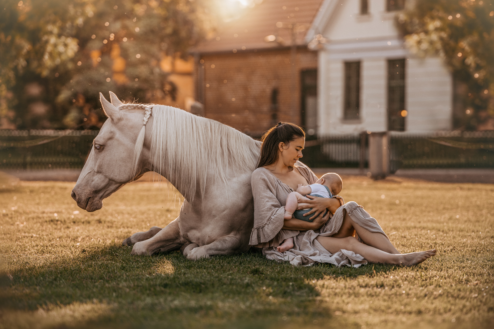 Pferdefotografie Familie und pferde