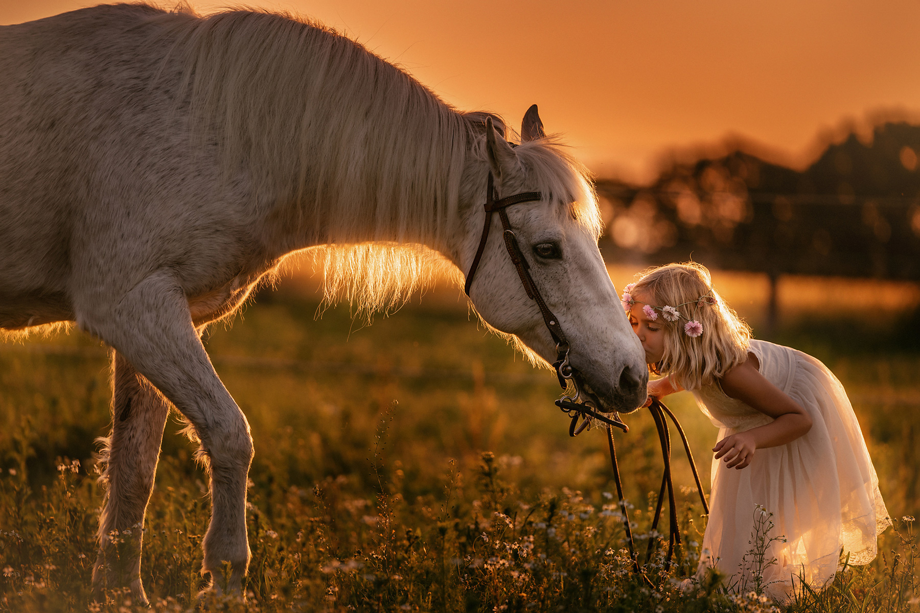 Mensch Tier Fotografie
