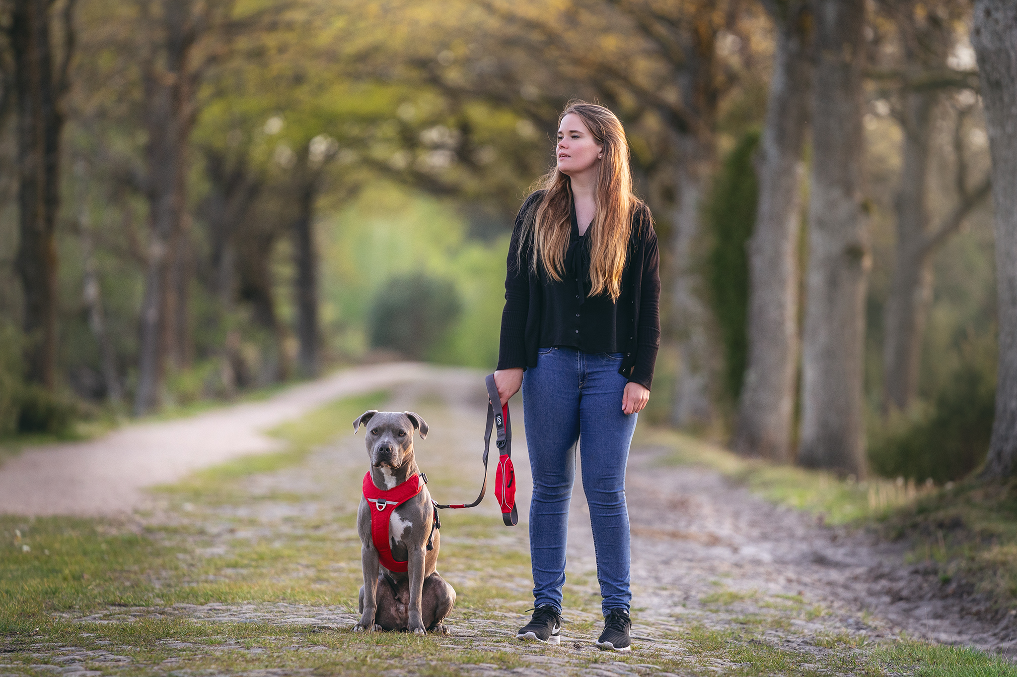 Produkte Haustiere werbung marketing content socialmedia werbefotografie produktbilder produktfotografie fotografin tiere tierfotografie marionflemming marion flemming fotografie