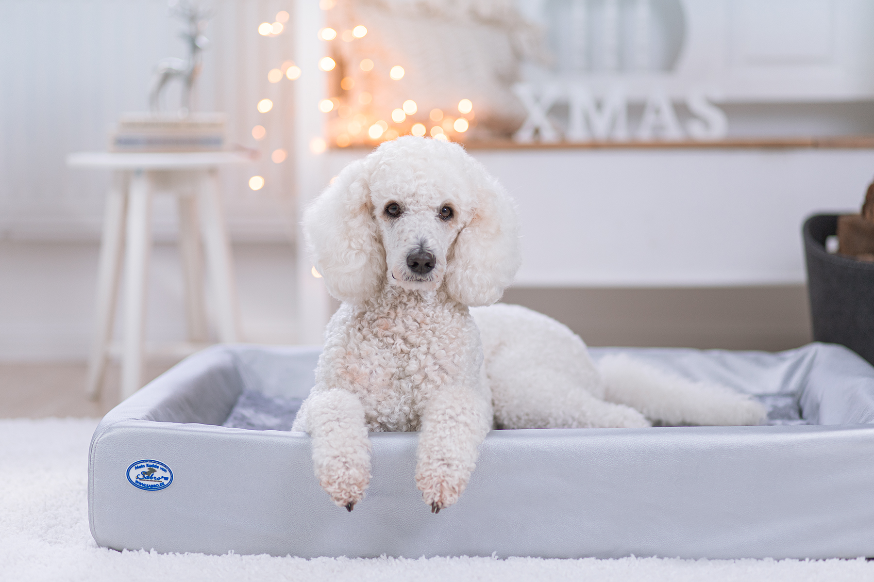 Produkte Haustiere werbung marketing content socialmedia werbefotografie produktbilder produktfotografie fotografin tiere tierfotografie marionflemming marion flemming fotografie