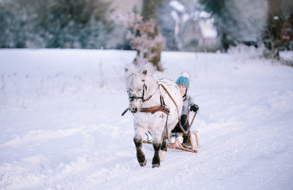 kind und pony schlitten schnee