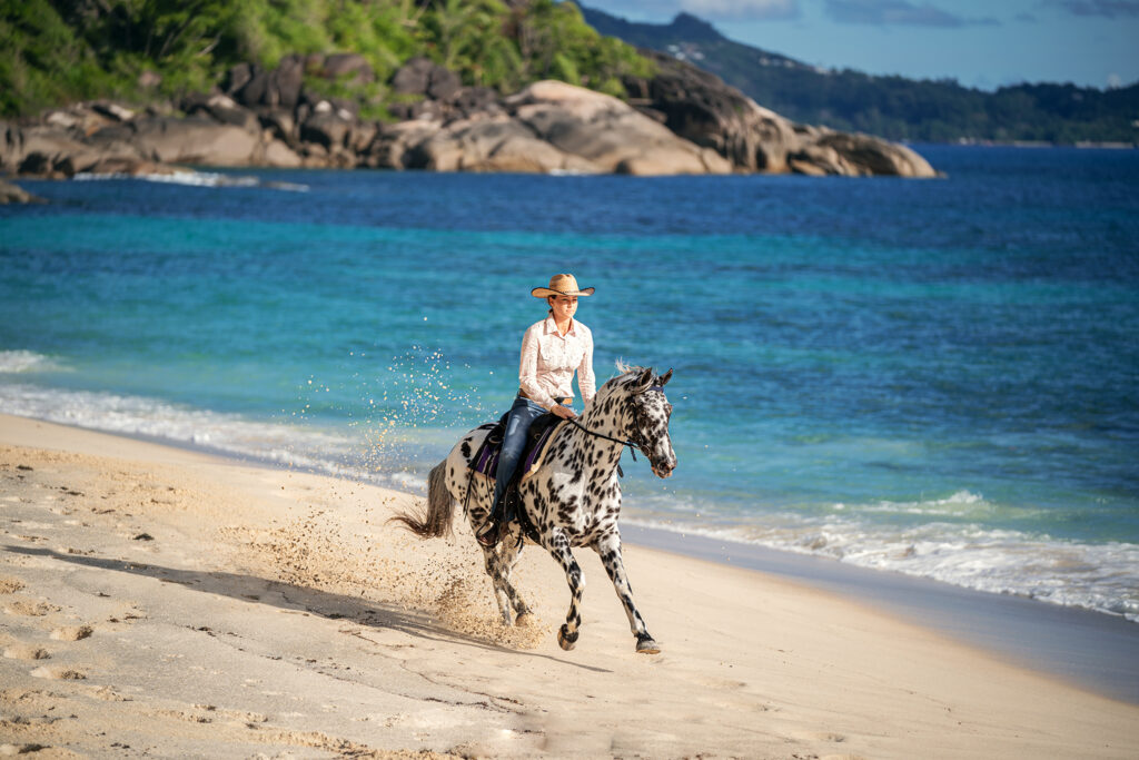 Pferdefotografie auf den Seychellen