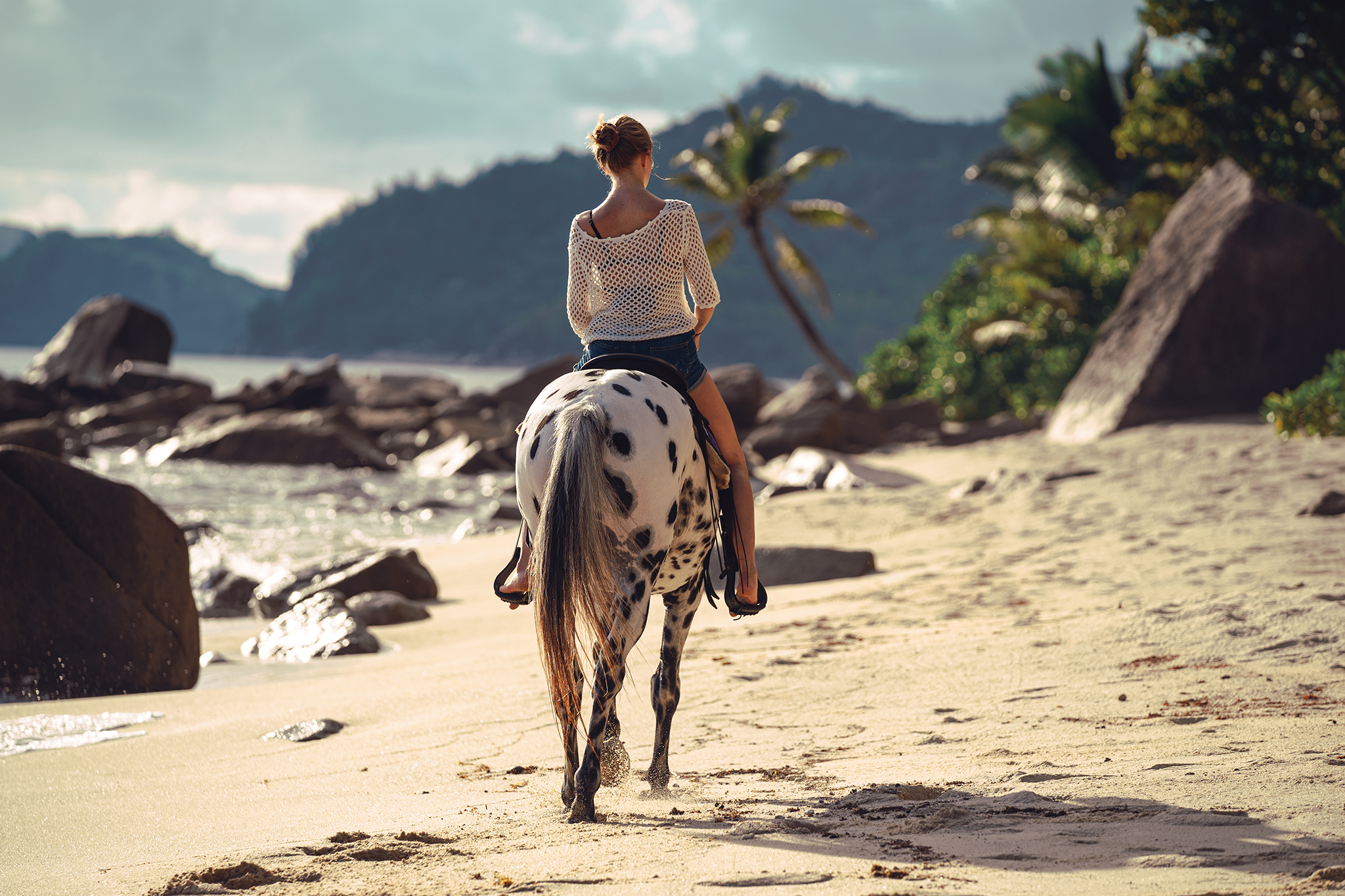 Pferdefotografie auf den Seychellen