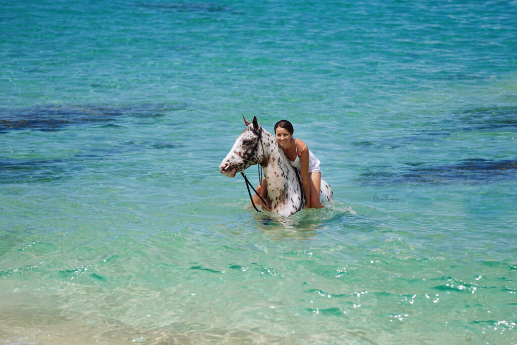 Pferdefotografie auf den Seychellen