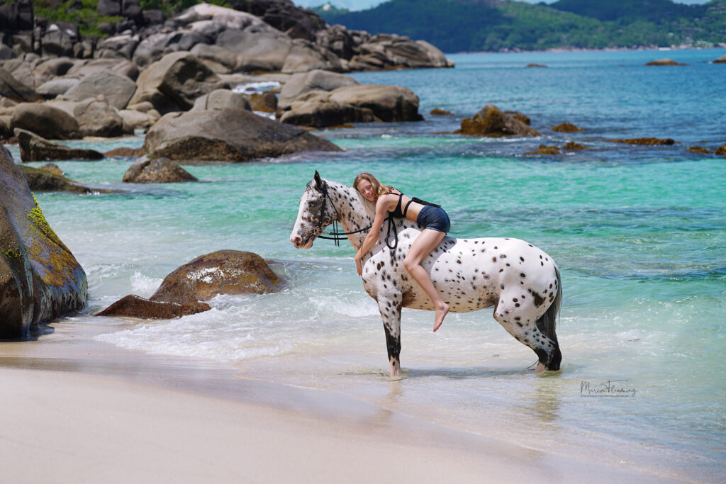 Pferdefotografie auf den Seychellen