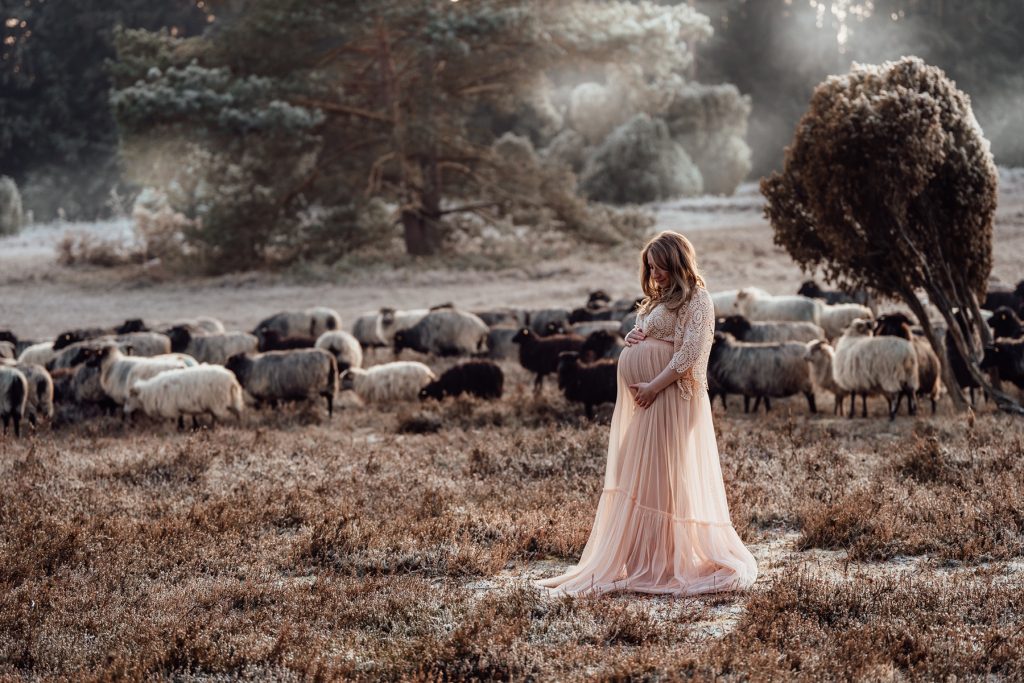 Schwangerschaft Fotografie