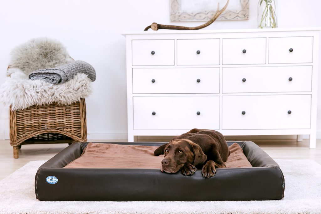 werbefotografie mit tieren