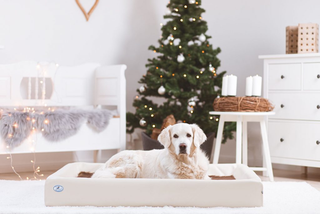 hundebetten haustierartikel 