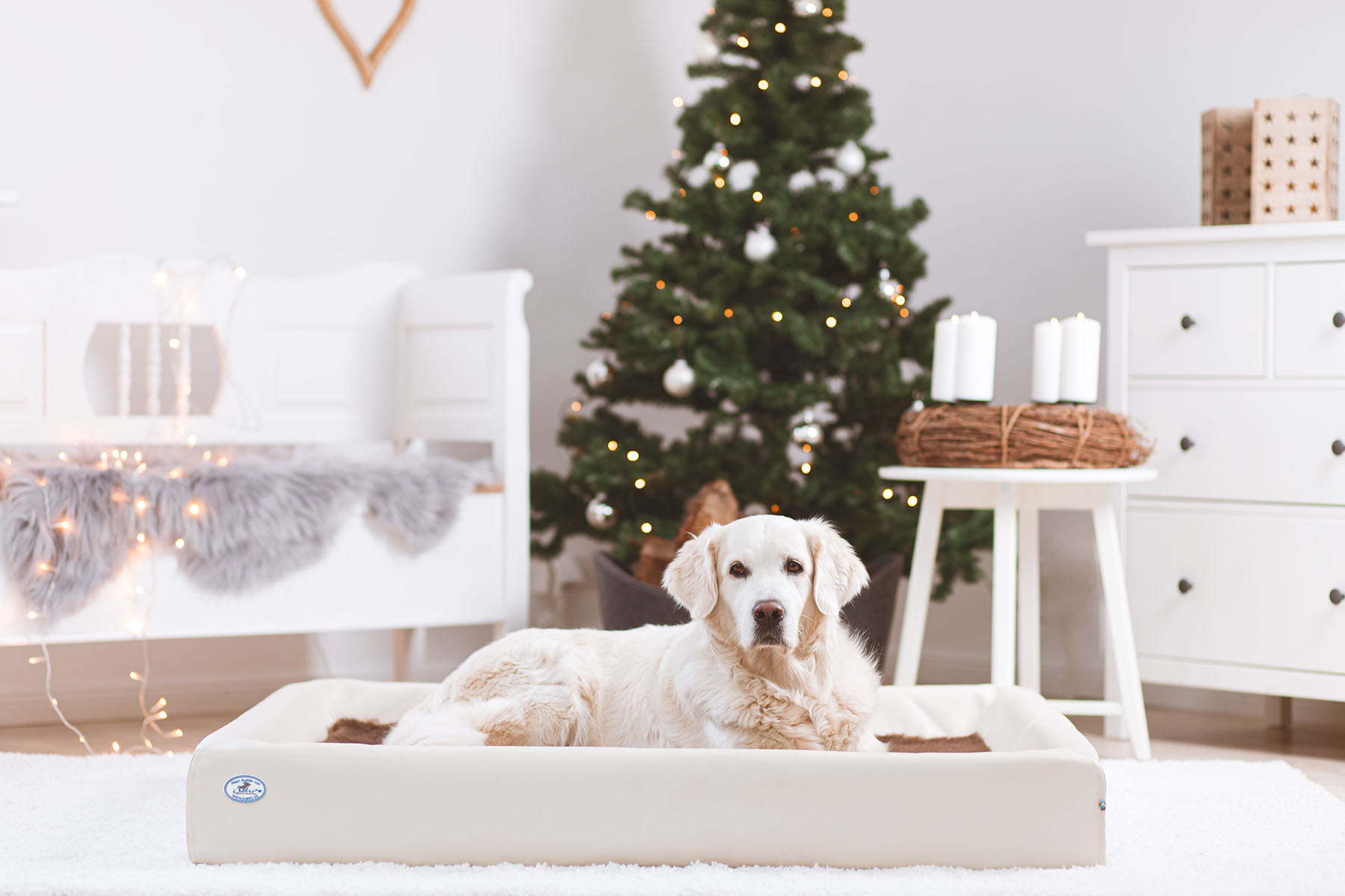 hundebetten haustierartikel