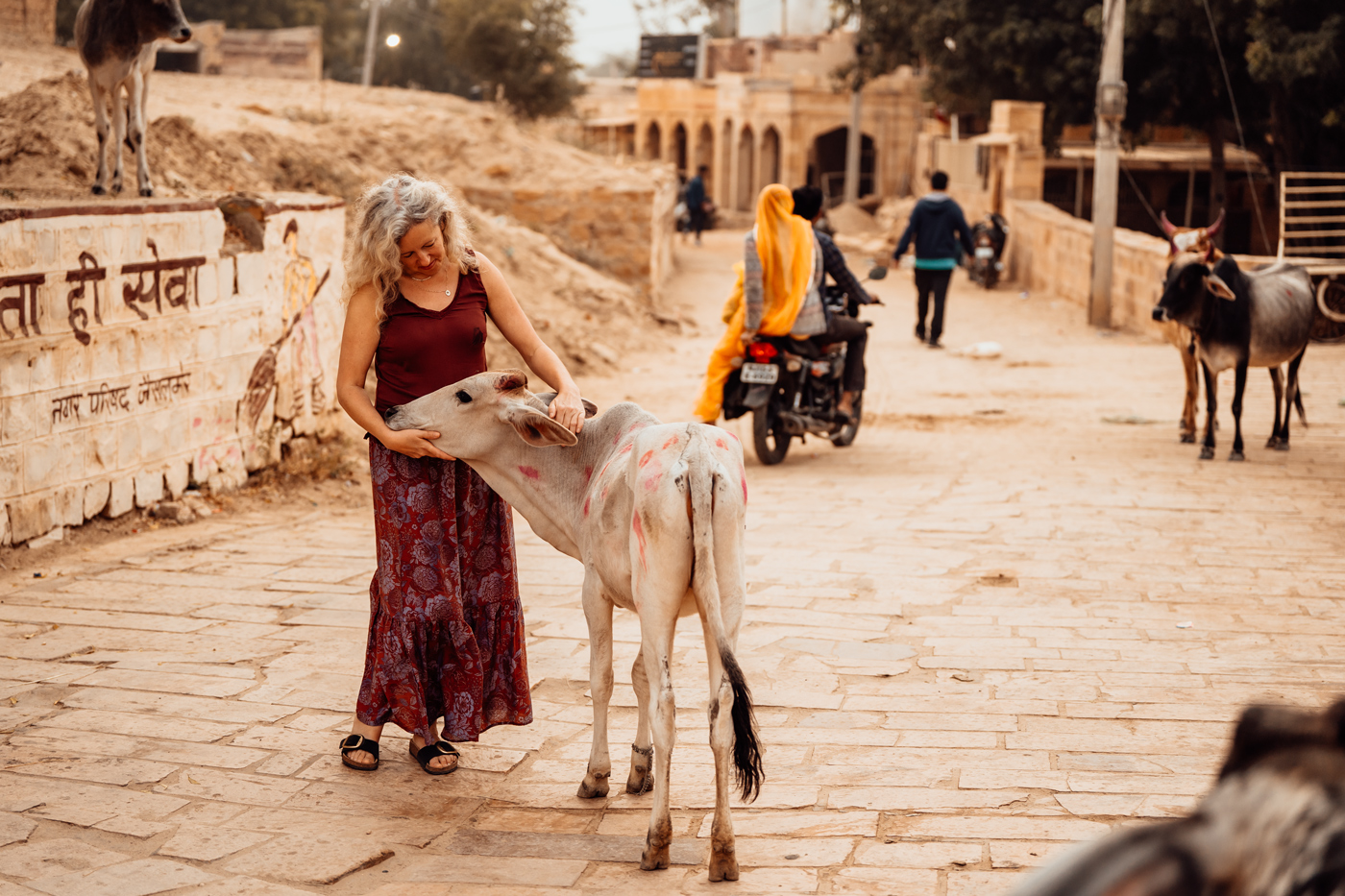 fotografin indien rundreise