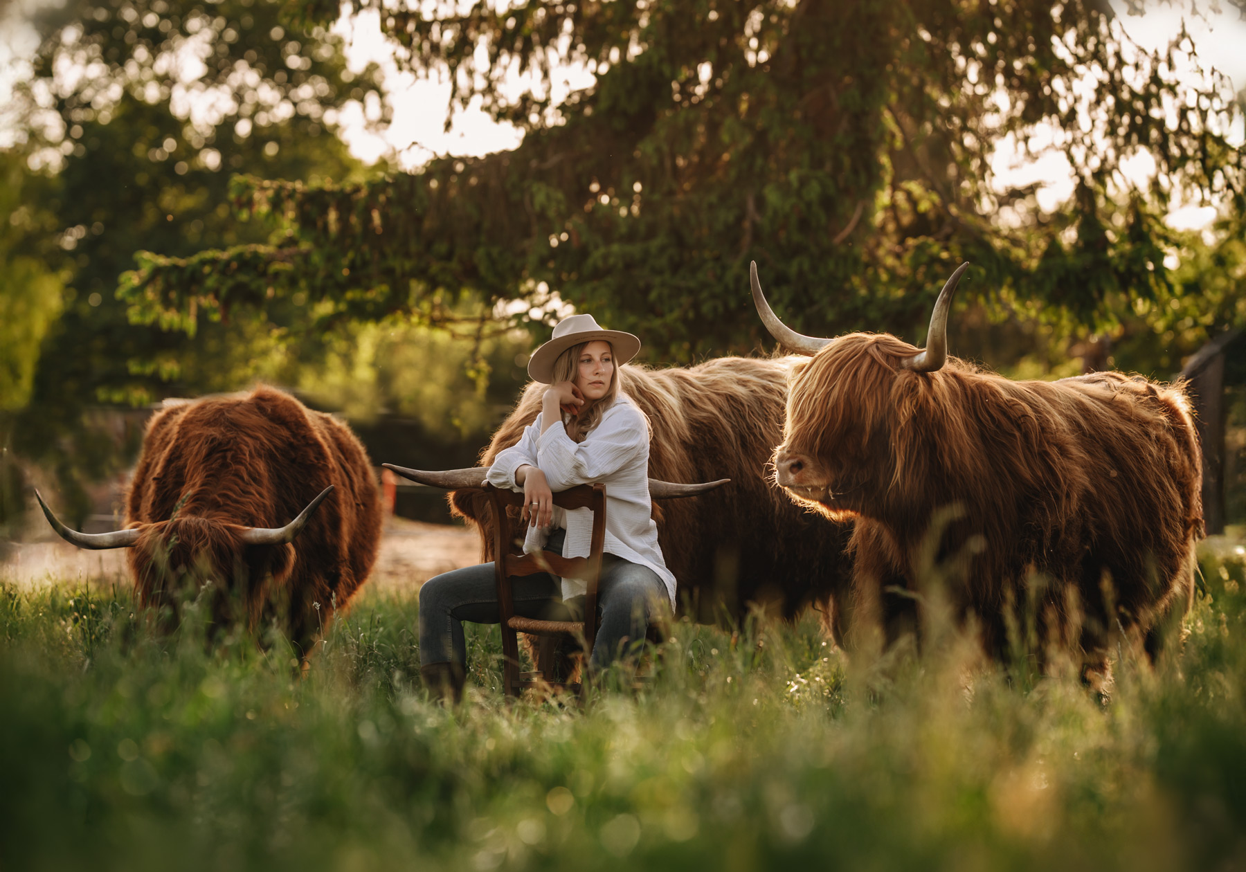 Bilder mit Pferden, Hundefotografie, Tierfotografie, Familie