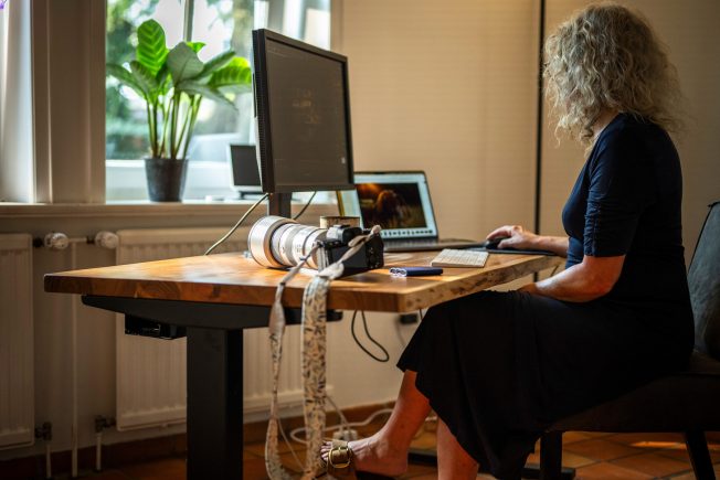 fotograf bildbearbeitung fotografie